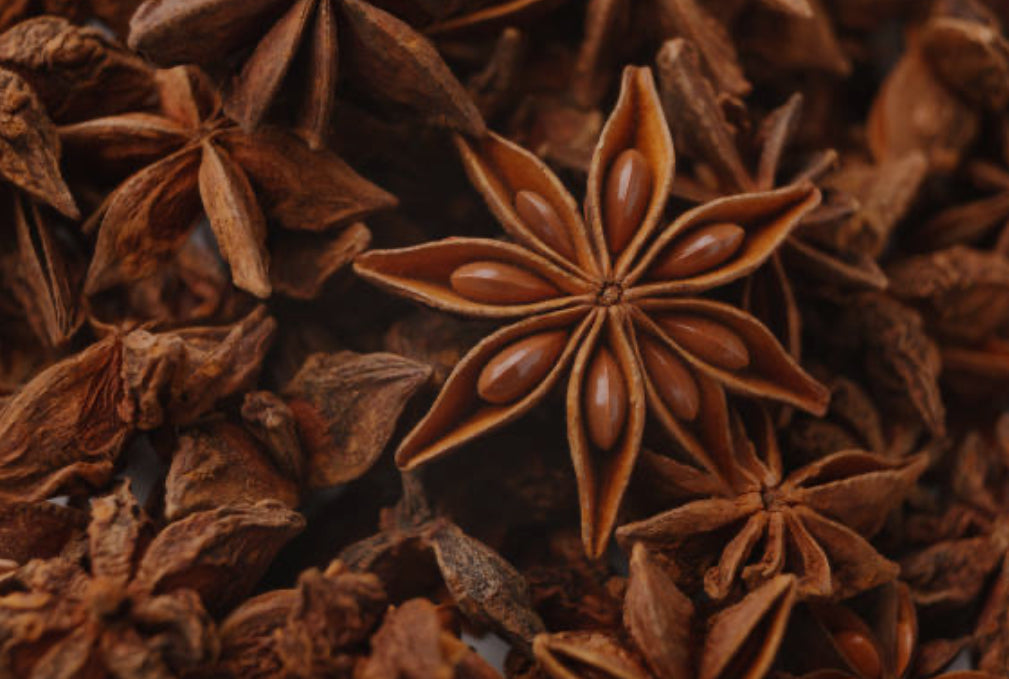 Anise Star Essential Oil