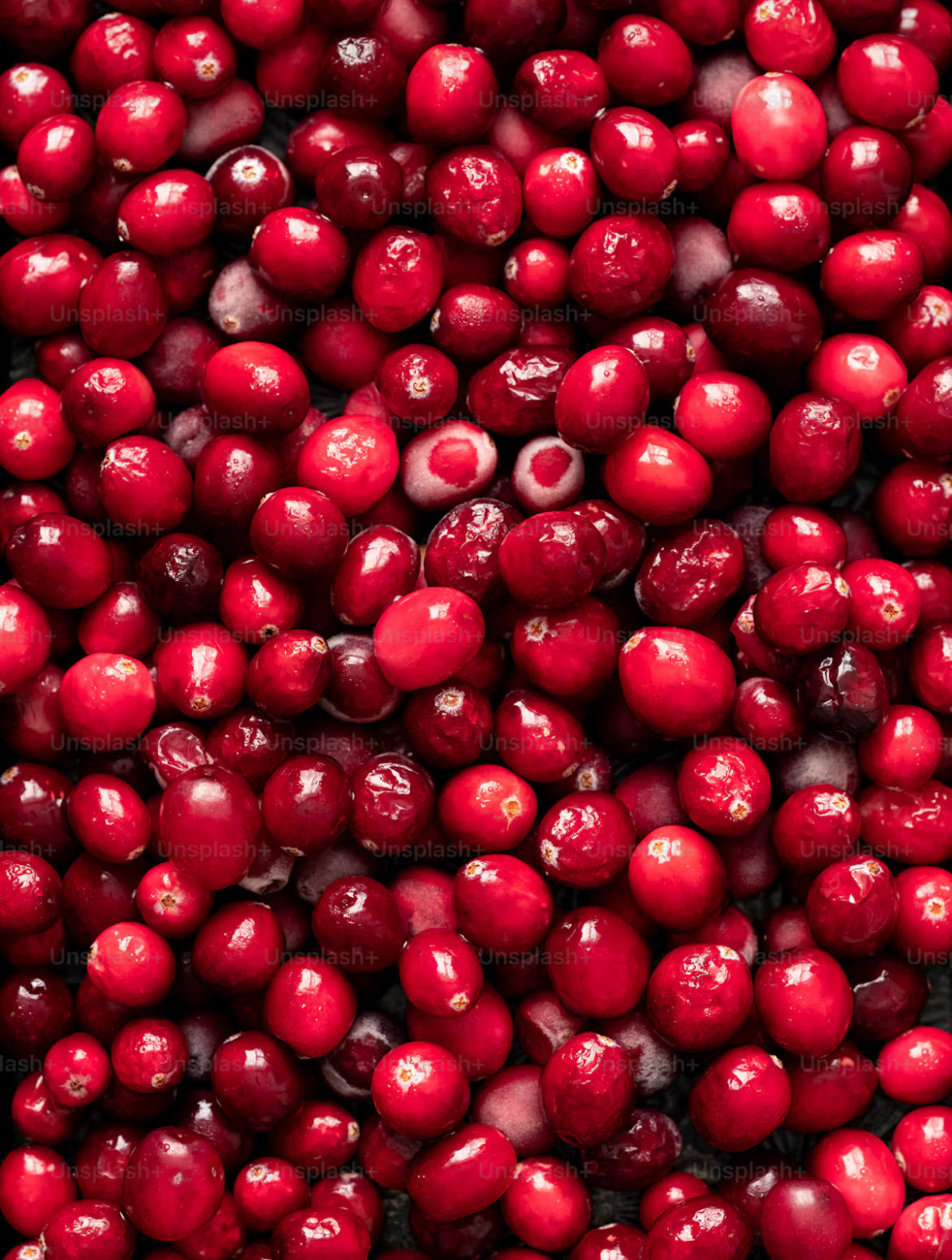 Cranberry Fragrance Oil