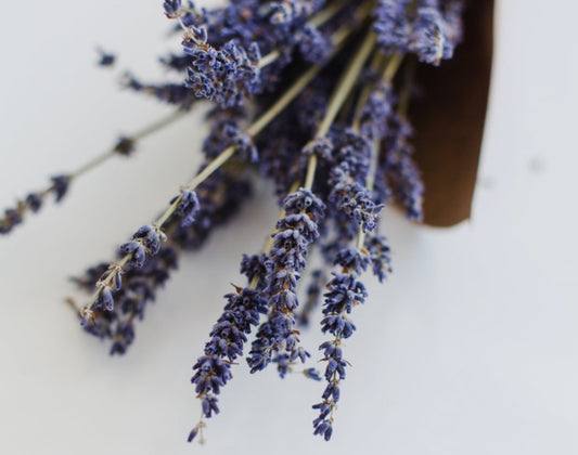 Lavender 40/42 Essential Oil