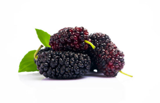 Mulberry Fragrance Oil