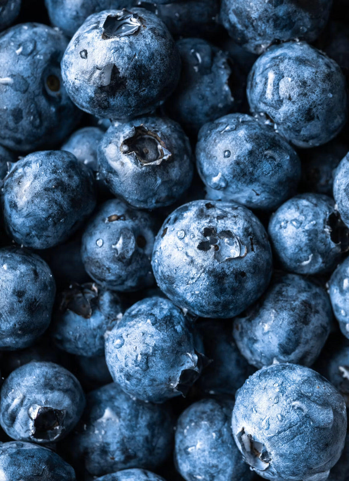 Blueberry Fragrance Oil